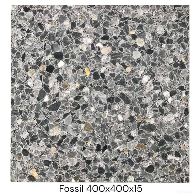 Đá Terrazzo Fossil