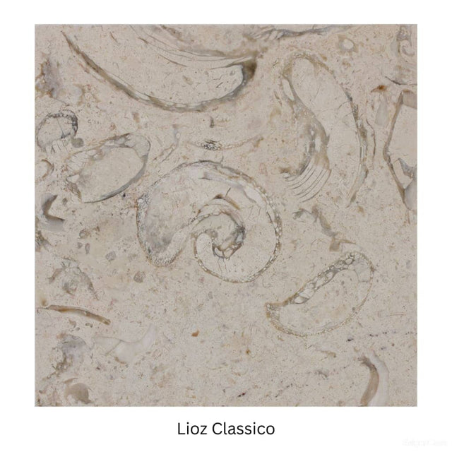 Đá Limestone Bồ Đào Nha - SaigonCasa | Curated Surfaces & Contemporary Living