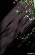 Gạch Giả Da Matouche Eleph Tabac - SaigonCasa | Curated Surfaces & Contemporary Living