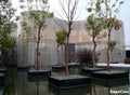 Gạch Kính Kiến Trúc Smart Architect - SaigonCasa | Curated Surfaces & Contemporary Living