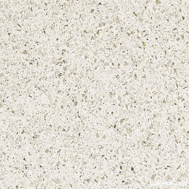 Gạch Terrazzo Autore 60x60cm - SaigonCasa | Curated Surfaces & Contemporary Living