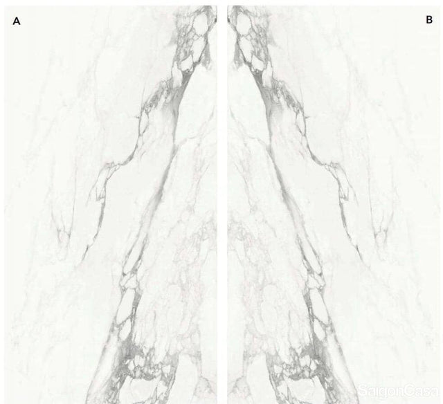 Gạch Vân Đá Khổ Lớn Bernini 121x270cm - SaigonCasa | Curated Surfaces & Contemporary Living