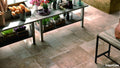 Gạch Vân Đá Tự Nhiên Springstone - SaigonCasa | Curated Surfaces & Contemporary Living