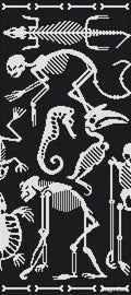 Mosaic Thủy Tinh Bisazza Perished - SaigonCasa | Curated Surfaces & Contemporary Living