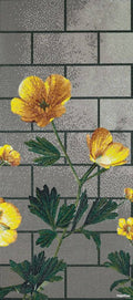 Mosaic Thủy Tinh Bisazza Ranunculus - SaigonCasa | Curated Surfaces & Contemporary Living