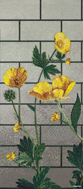 Mosaic Thủy Tinh Bisazza Ranunculus - SaigonCasa | Curated Surfaces & Contemporary Living