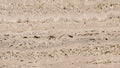 Travertine - SaigonCasa | Curated Surfaces & Contemporary Living