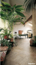 Gạch Vân Đá Tự Nhiên Ekos Stone - SaigonCasa | Curated Surfaces & Contemporary Living