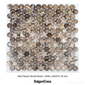 Mosaic Vỏ Sò Hình Tròn - SaigonCasa | Curated Surfaces & Contemporary Living