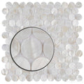 Mosaic Vỏ Sò Hình Tròn - SaigonCasa | Curated Surfaces & Contemporary Living